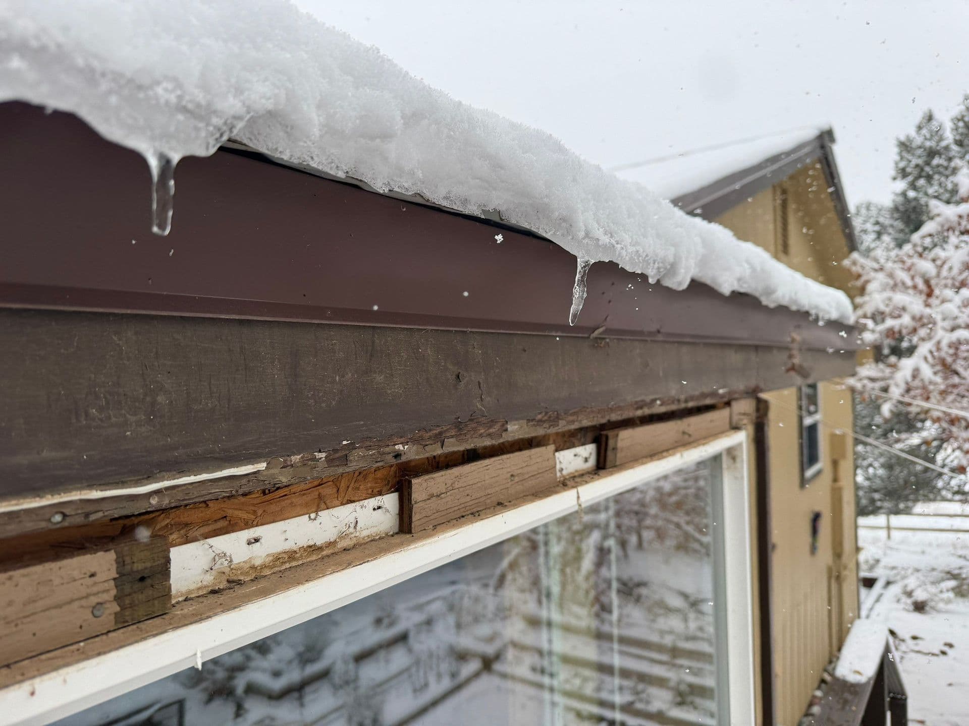 frozen gutter